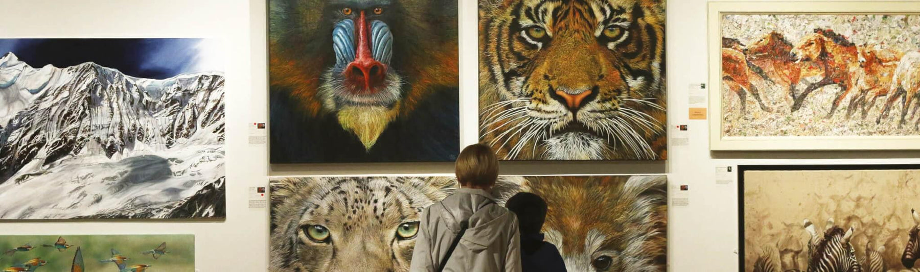 Wildlife Artist Of The Year 2020 Competition