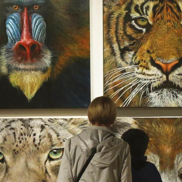 Wildlife Artist Of The Year 2020 Competition