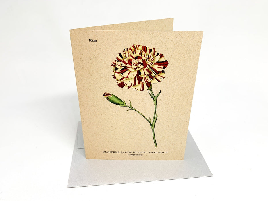 Botanical Greeting Cards - Clubcard Printing USA