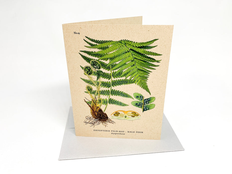 Botanical Greeting Cards - Clubcard Printing USA