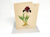 Botanical Greeting Cards - Clubcard Printing USA