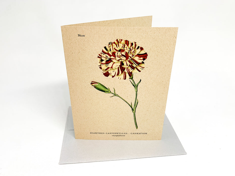 Botanical Greeting Cards