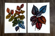 Illustrated leaves Fine art print on archival paper printed with archival ink from Clubcard Printing USA