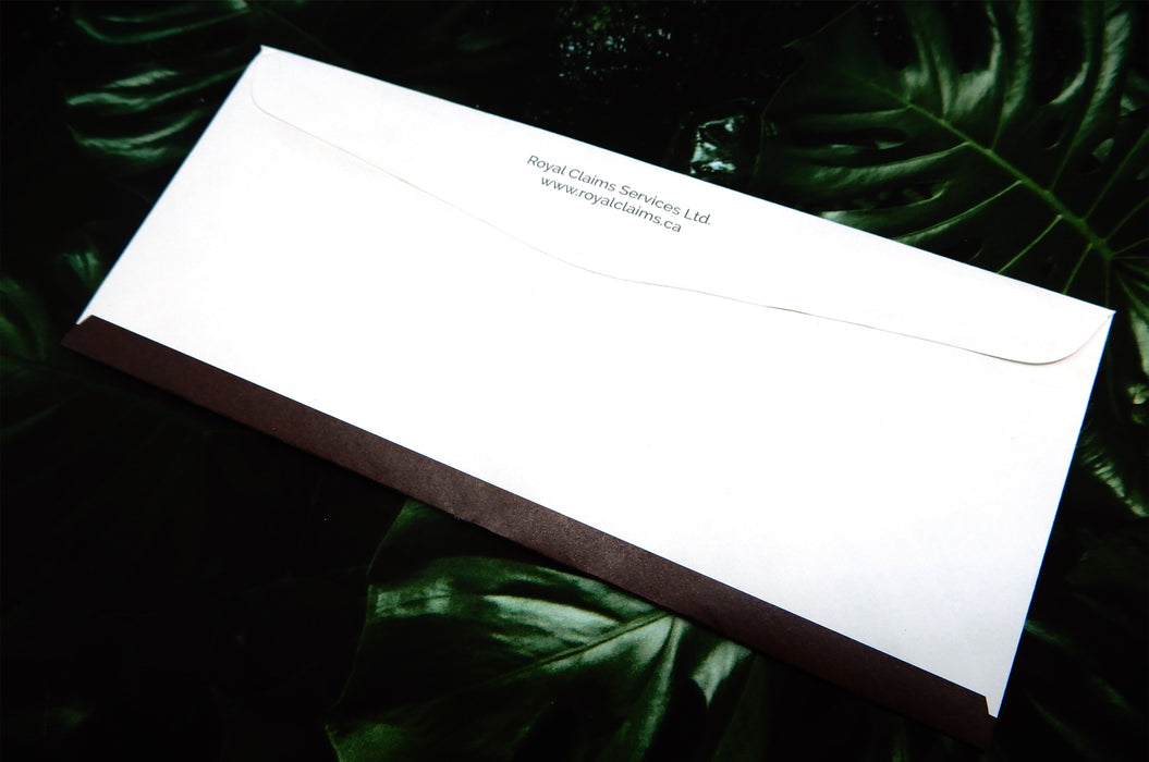 Uncoated No. 10 Envelopes 70lb